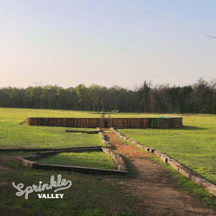 Forward Momentum (Day 81 of 365)