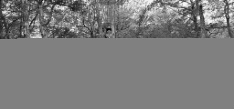 Forward Momentum (Day 248 of 365)