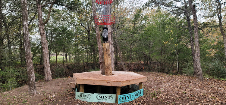 Forward Momentum (Day 249 of 365)