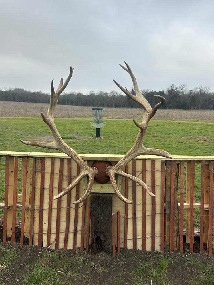 Forward Momentum (Day 72 of 365)