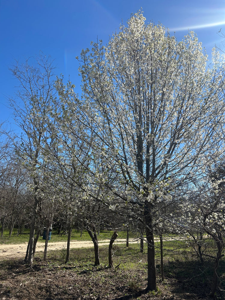 Forward Momentum (Day 69 of 365)