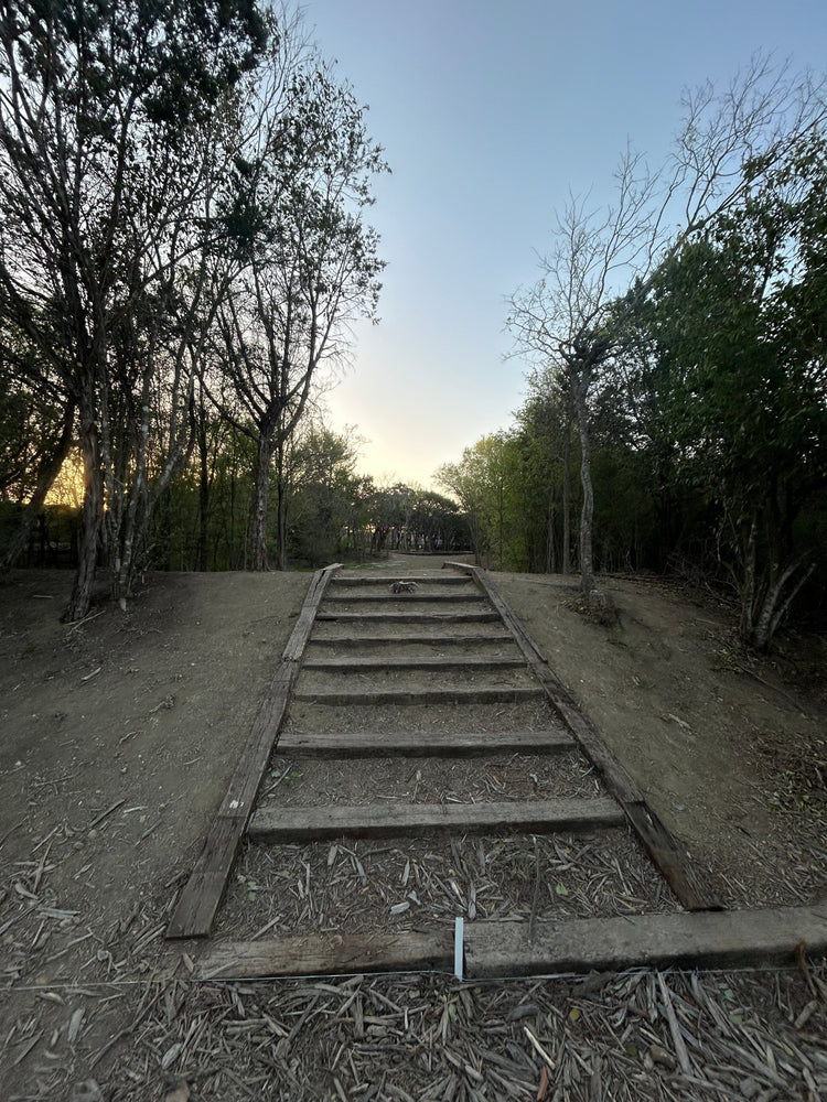 Forward Momentum (Day 83 of 365)