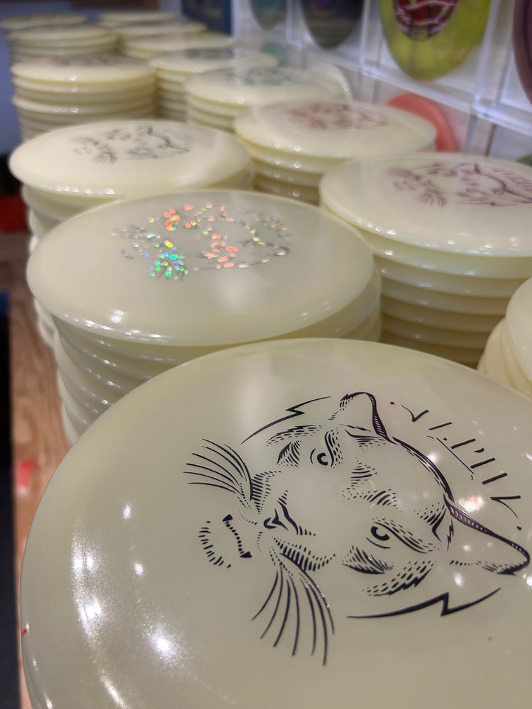 Forward Momentum (Day 128 of 365)