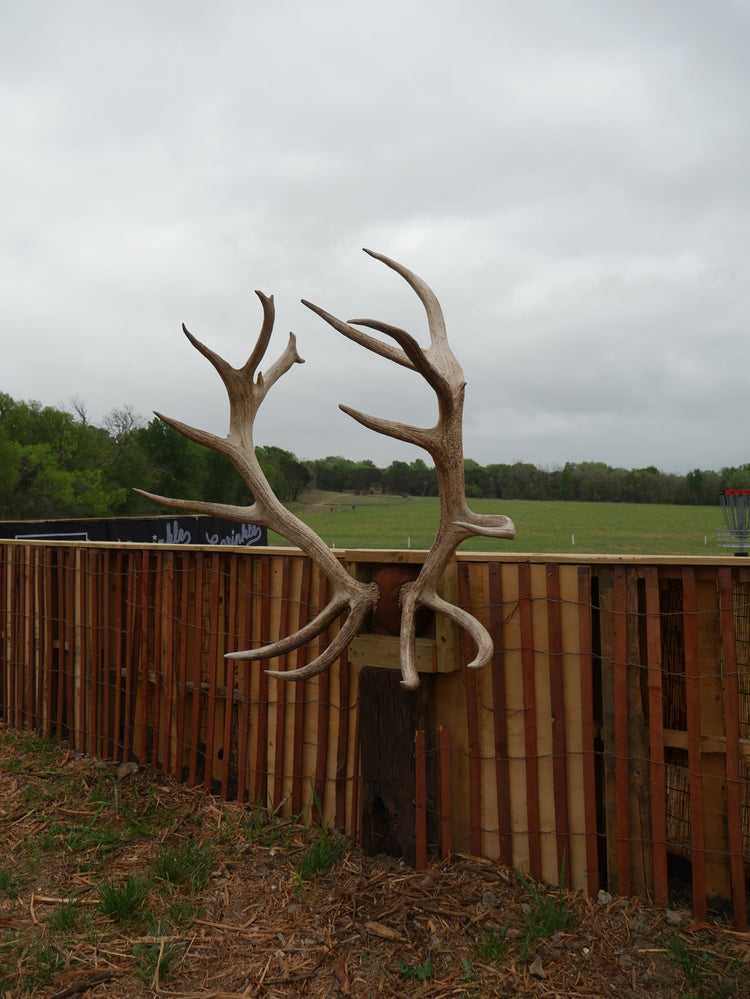 Forward Momentum (Day 88 of 365)