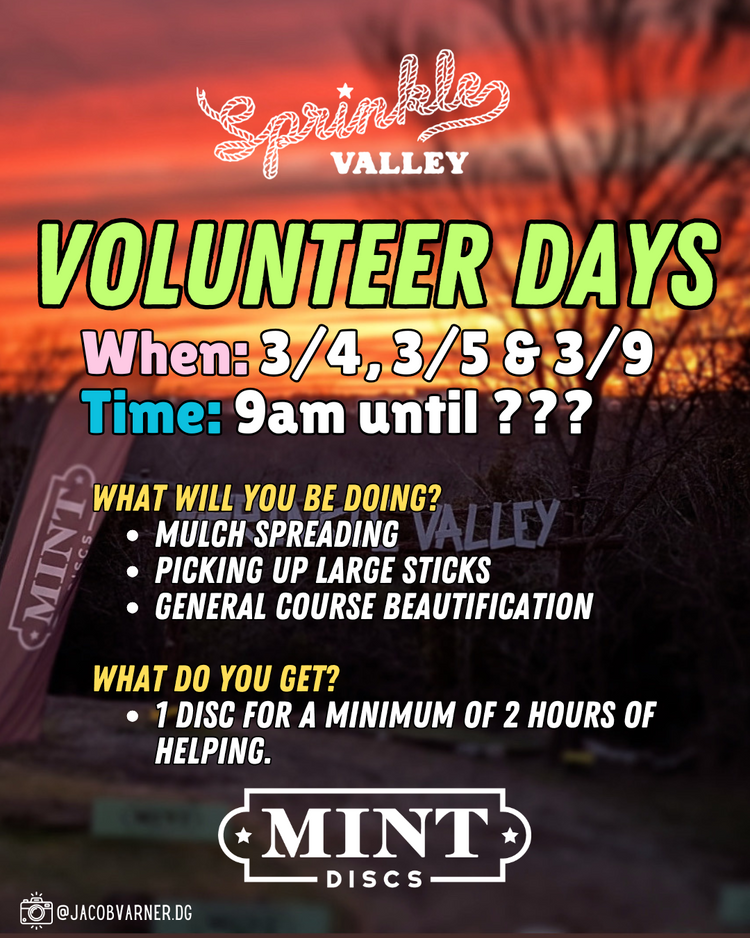 Forward Momentum (Day 63 of 365)