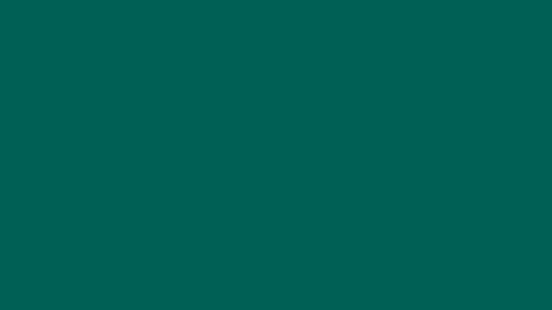 Load image into Gallery viewer, Hoodie (Pullover) w/ Mint Logo 2025