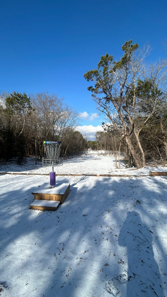 Forward Momentum (Day 84 of 365)