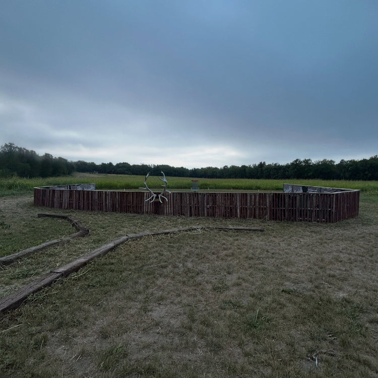 Forward Momentum (Day 246 of 365)