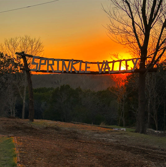 Forward Momentum (Day 82 of 365)