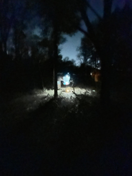 Forward Momentum (Day 319 of 365)