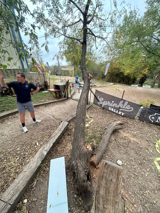 Forward Momentum (Day 321 of 365)