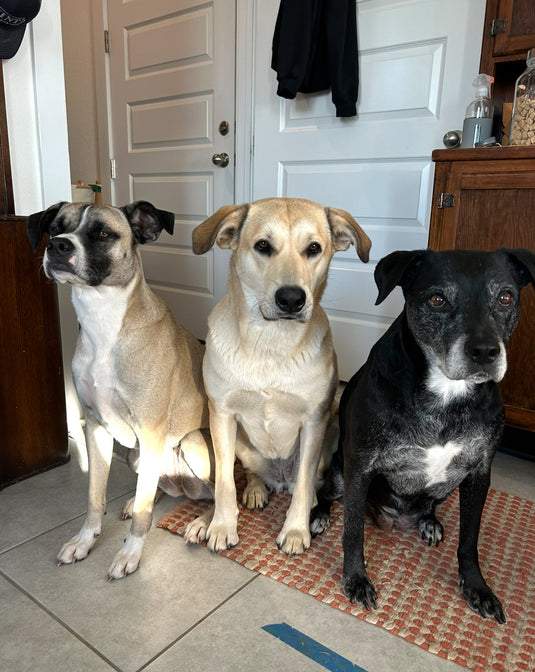 Forward Momentum (Day 359 of 365)