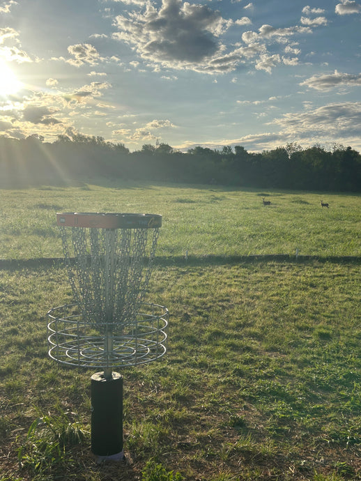Forward Momentum (Day 201 of 365)