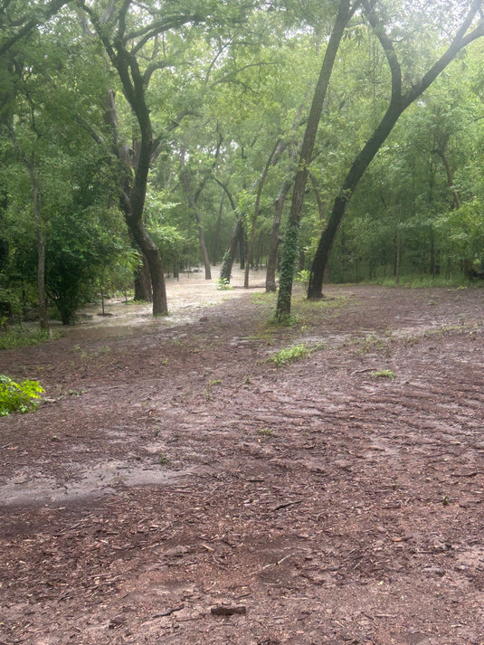 Forward Momentum (Day 186 of 365)