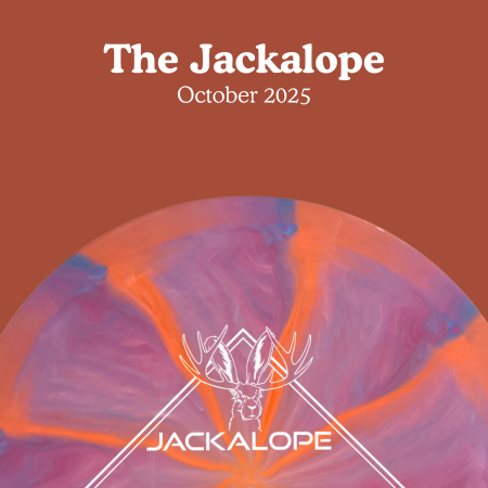 Forward Momentum (Day 279 of 365)