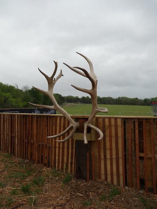 Forward Momentum (Day 88 of 365)