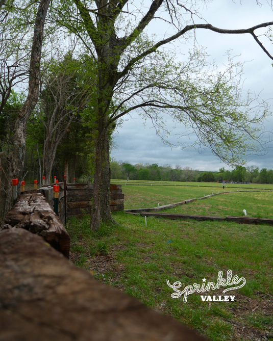 Forward Momentum (Day 90 of 365)