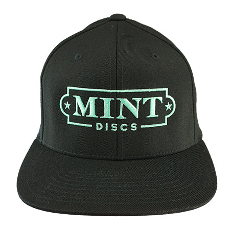 Flexfit Hat w/ Mint Logo (Snap-Back)