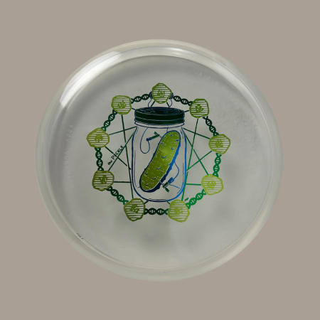 Load image into Gallery viewer, Pickle - Eternal &quot;Mega Soft&quot; Plastic (ET-PK01-25)
