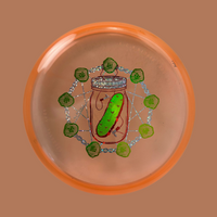 Pickle - Eternal 
