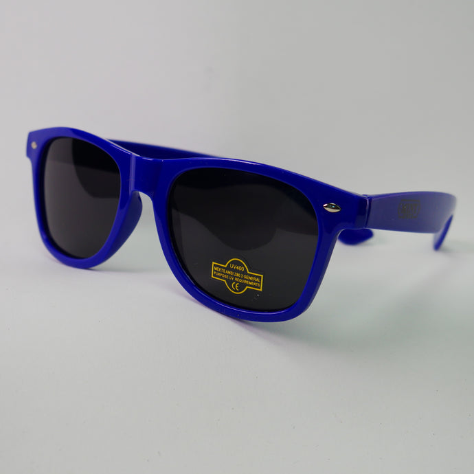 Blue Sunglasses w/ Mint Logo EXACT PHOTO