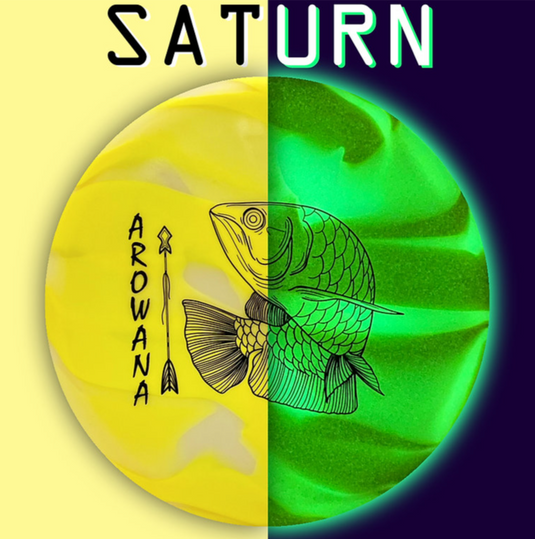 Elevation discs | Arowana